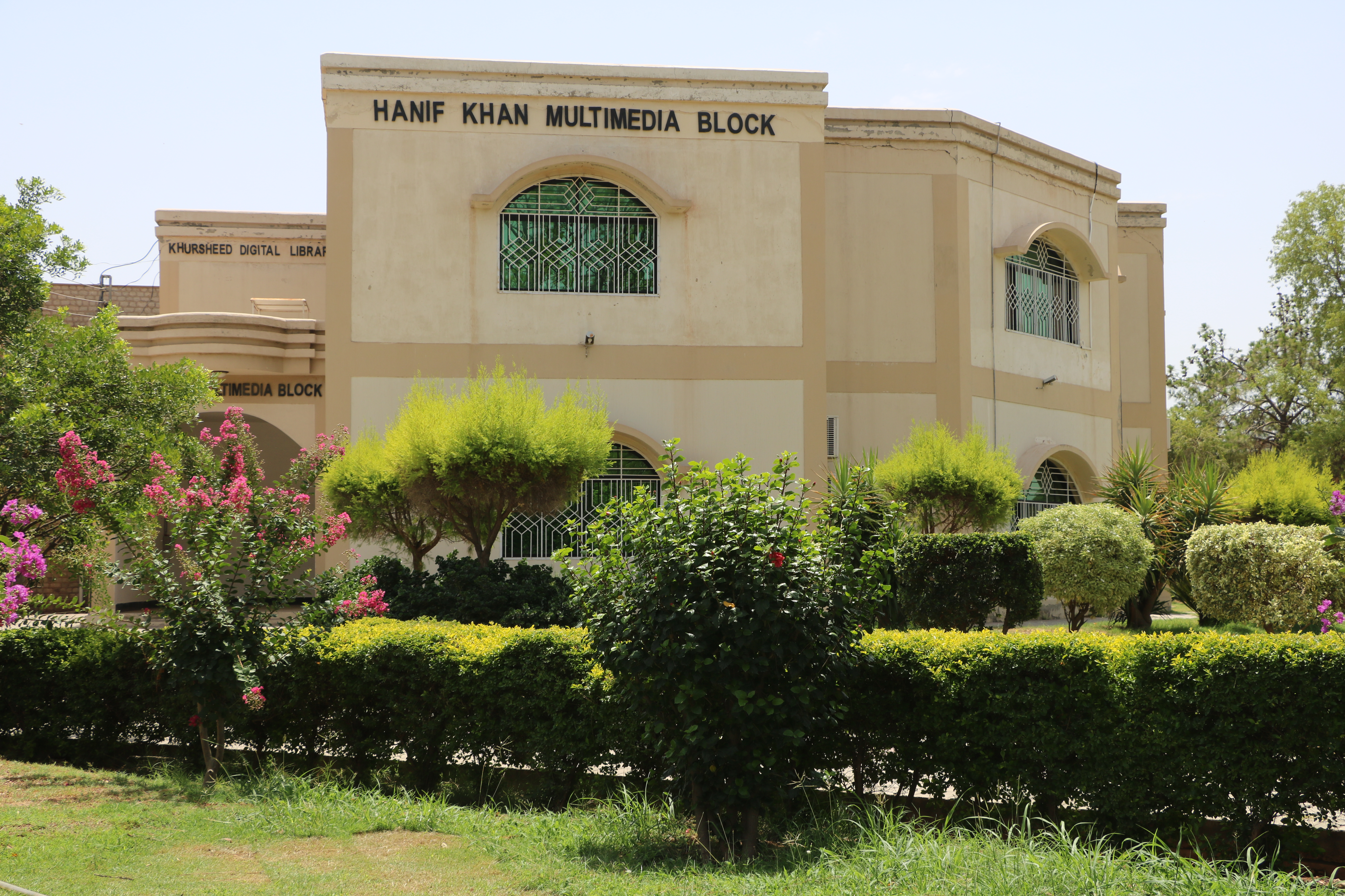 Library
